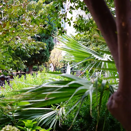 Le Palme Ξενοδοχείο 3*